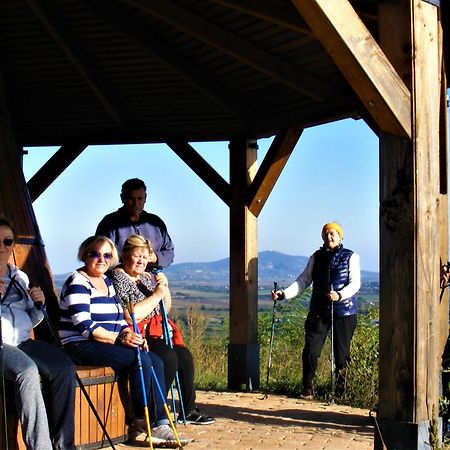 Tokaj Hill Panorama Guesthouse Szerencs Zewnętrze zdjęcie