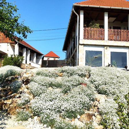 Tokaj Hill Panorama Guesthouse Szerencs Zewnętrze zdjęcie
