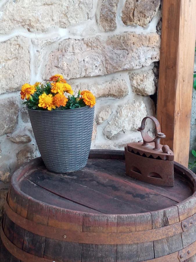 Tokaj Hill Panorama Guesthouse Szerencs Zewnętrze zdjęcie
