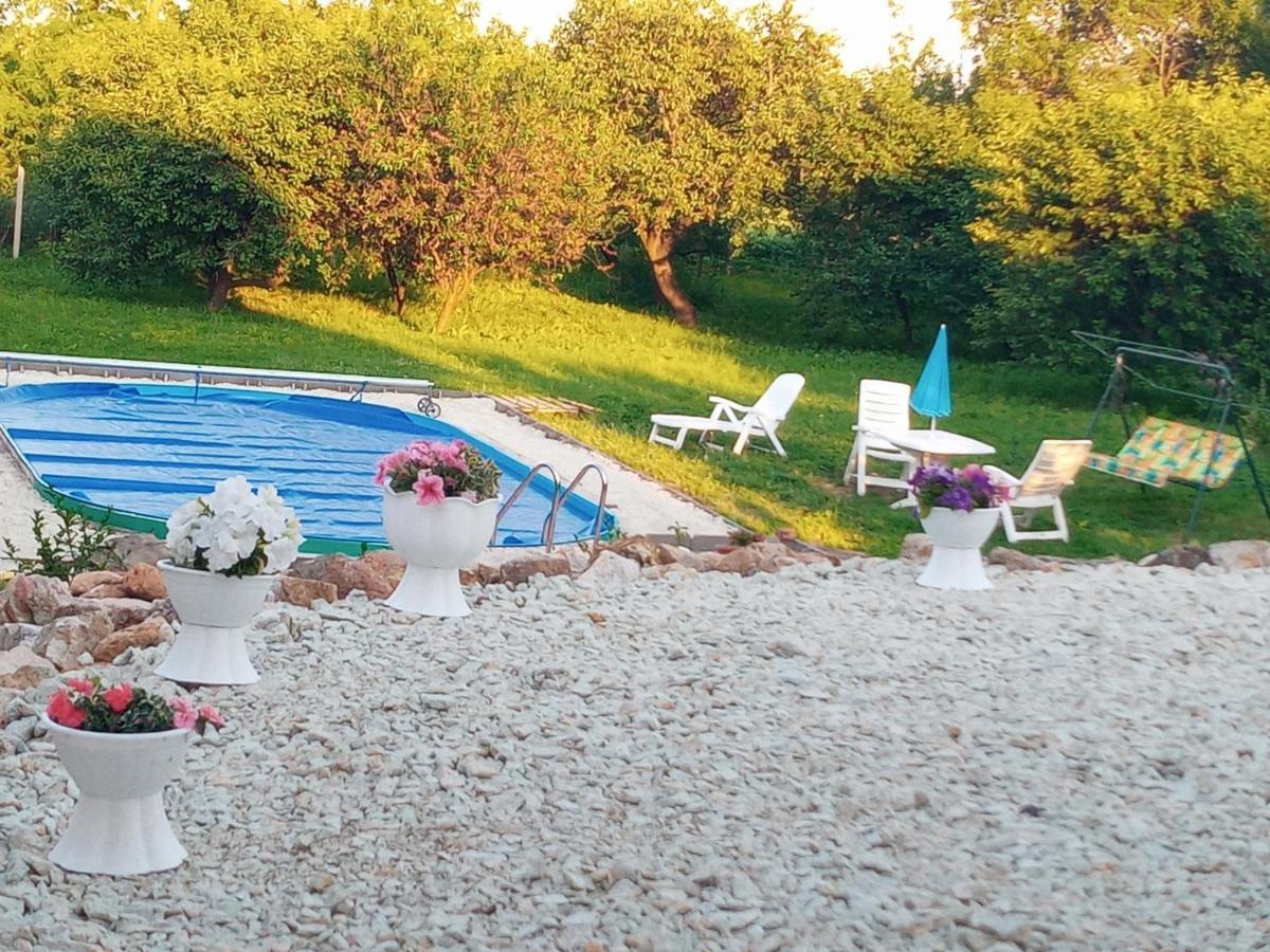 Tokaj Hill Panorama Guesthouse Szerencs Zewnętrze zdjęcie