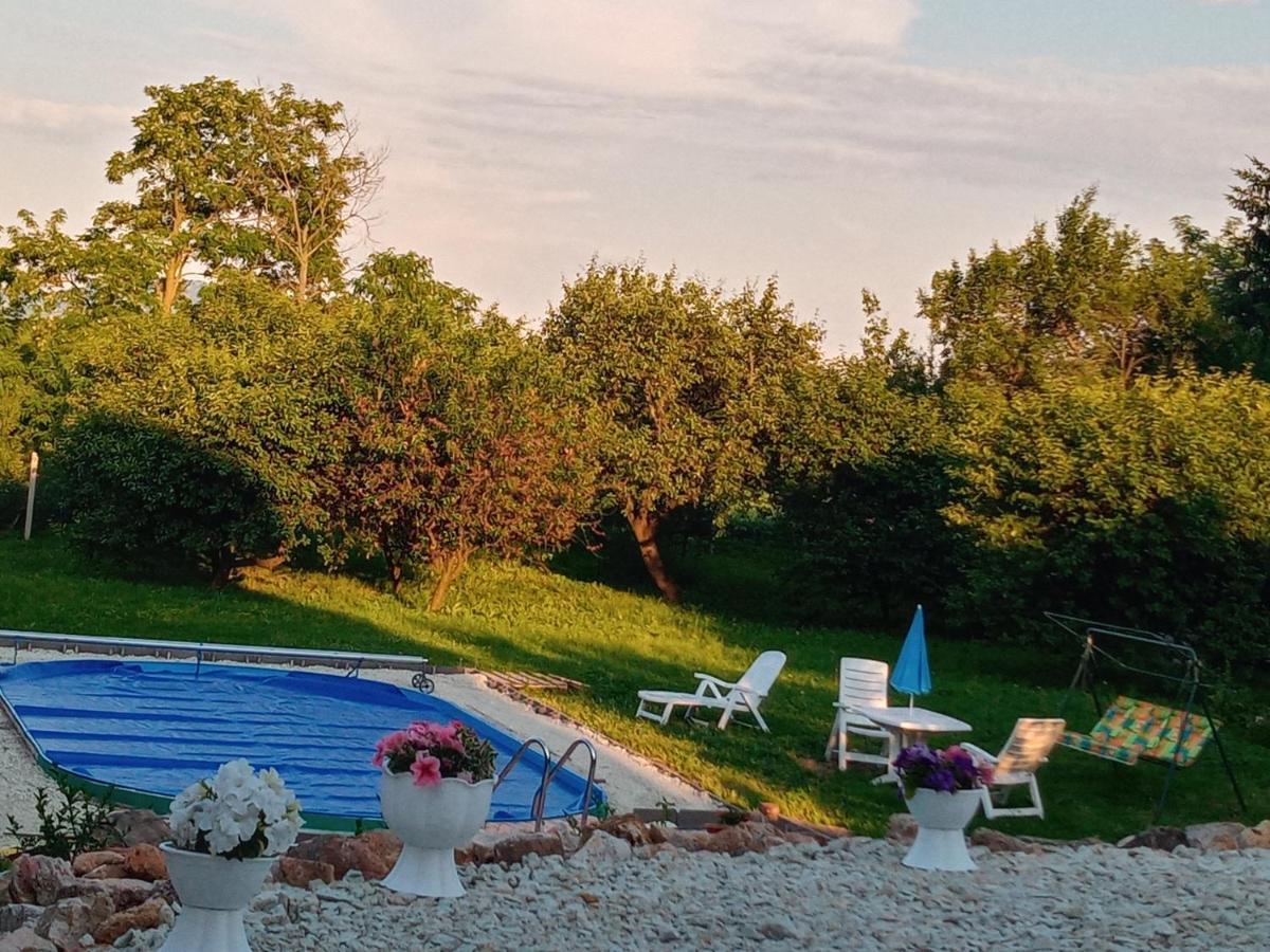 Tokaj Hill Panorama Guesthouse Szerencs Zewnętrze zdjęcie