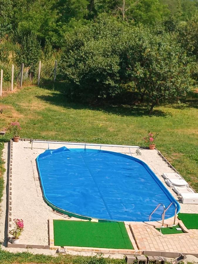 Tokaj Hill Panorama Guesthouse Szerencs Zewnętrze zdjęcie
