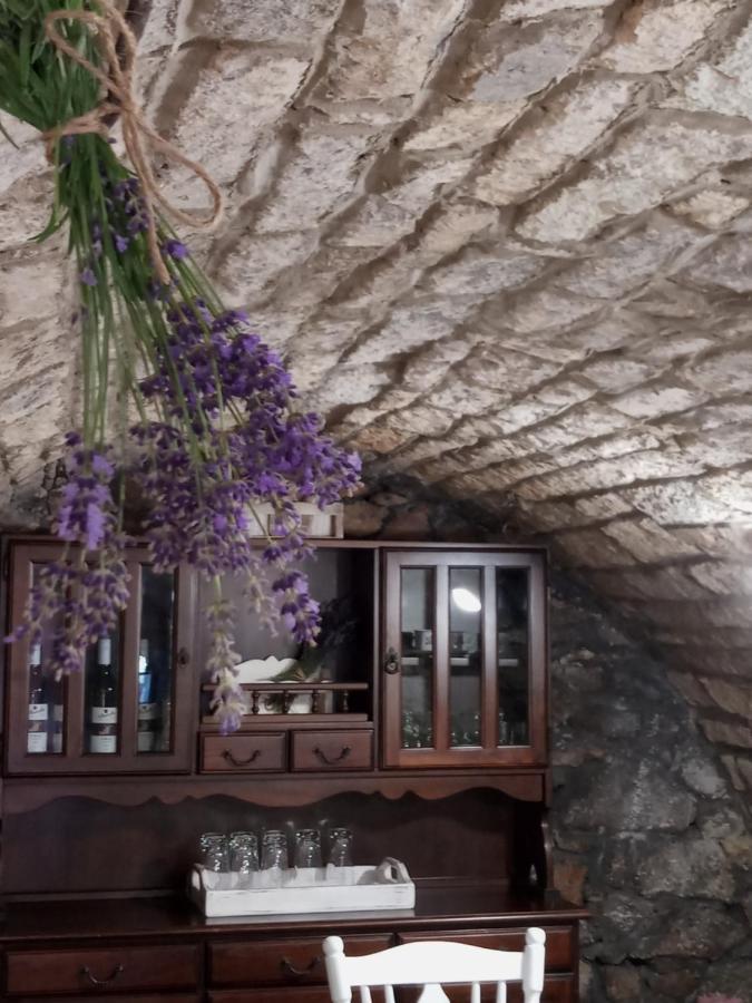 Tokaj Hill Panorama Guesthouse Szerencs Zewnętrze zdjęcie