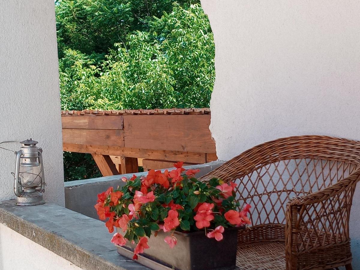 Tokaj Hill Panorama Guesthouse Szerencs Zewnętrze zdjęcie