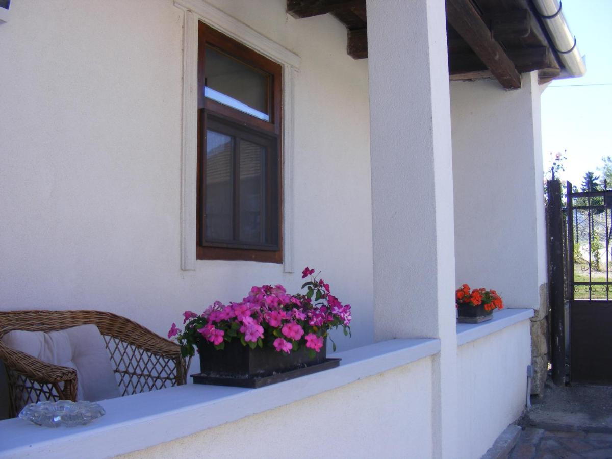 Tokaj Hill Panorama Guesthouse Szerencs Zewnętrze zdjęcie