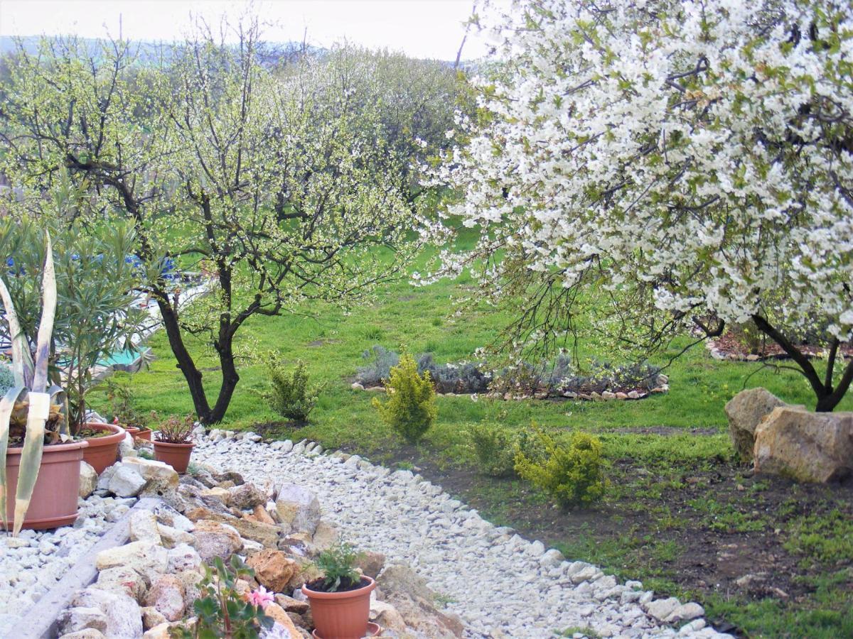 Tokaj Hill Panorama Guesthouse Szerencs Zewnętrze zdjęcie
