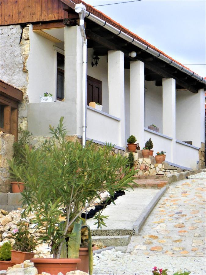 Tokaj Hill Panorama Guesthouse Szerencs Zewnętrze zdjęcie