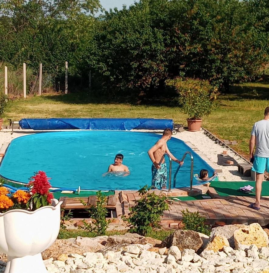 Tokaj Hill Panorama Guesthouse Szerencs Zewnętrze zdjęcie