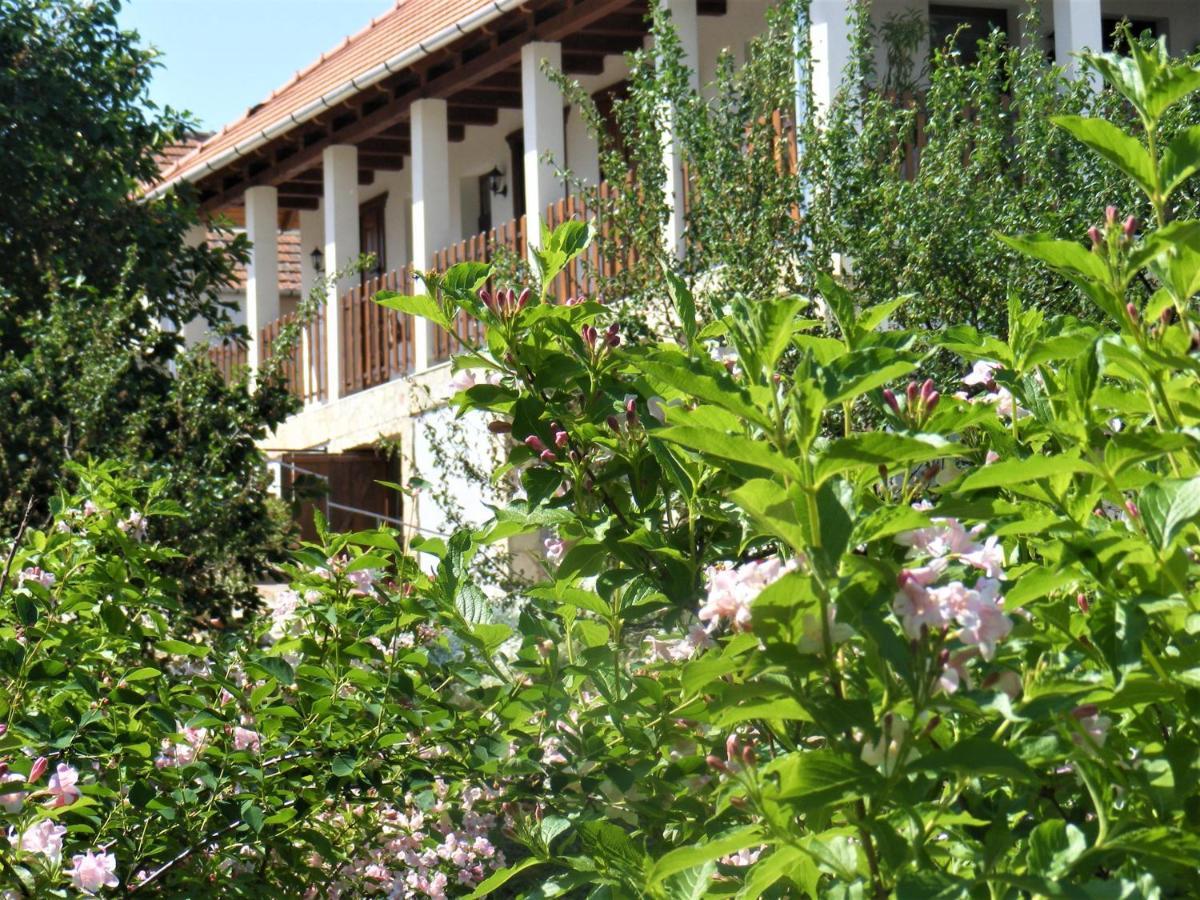 Tokaj Hill Panorama Guesthouse Szerencs Zewnętrze zdjęcie