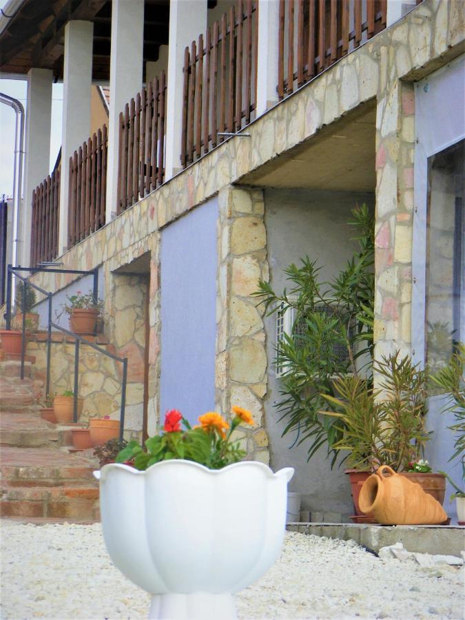 Tokaj Hill Panorama Guesthouse Szerencs Zewnętrze zdjęcie