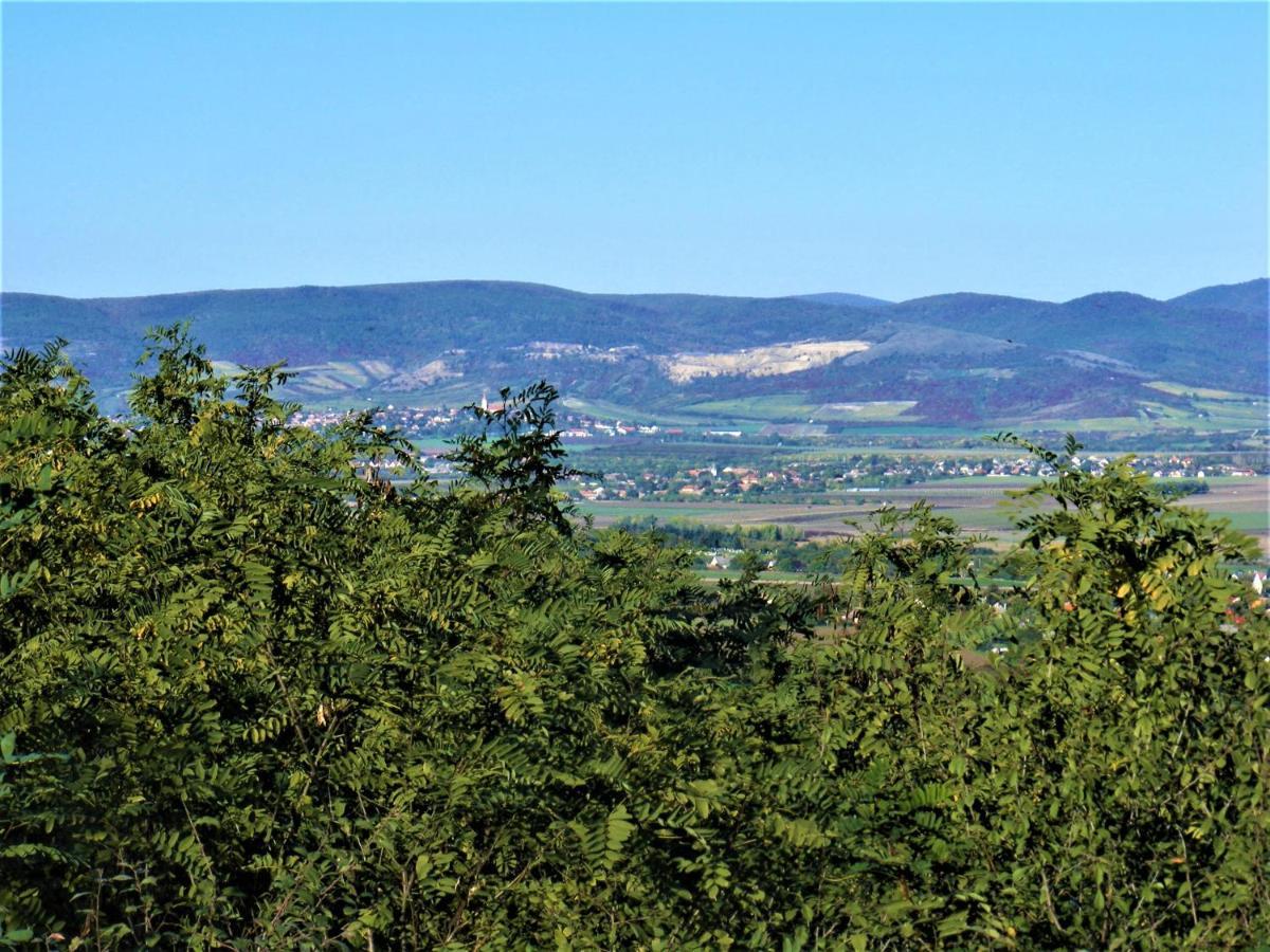 Tokaj Hill Panorama Guesthouse Szerencs Zewnętrze zdjęcie