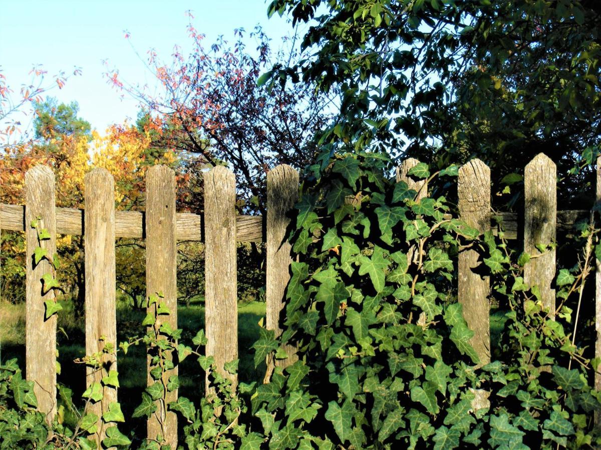 Tokaj Hill Panorama Guesthouse Szerencs Zewnętrze zdjęcie