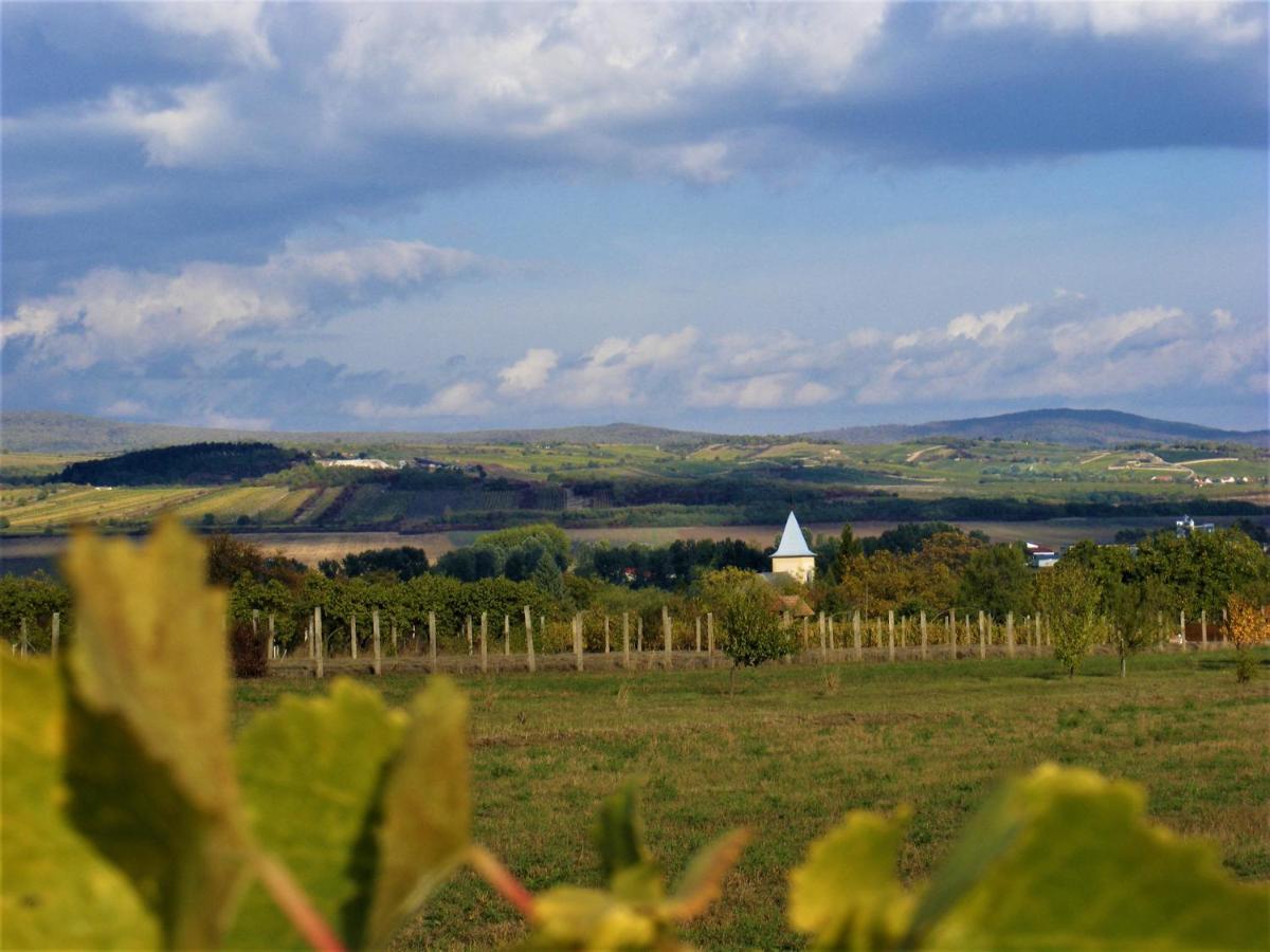 Tokaj Hill Panorama Guesthouse Szerencs Zewnętrze zdjęcie