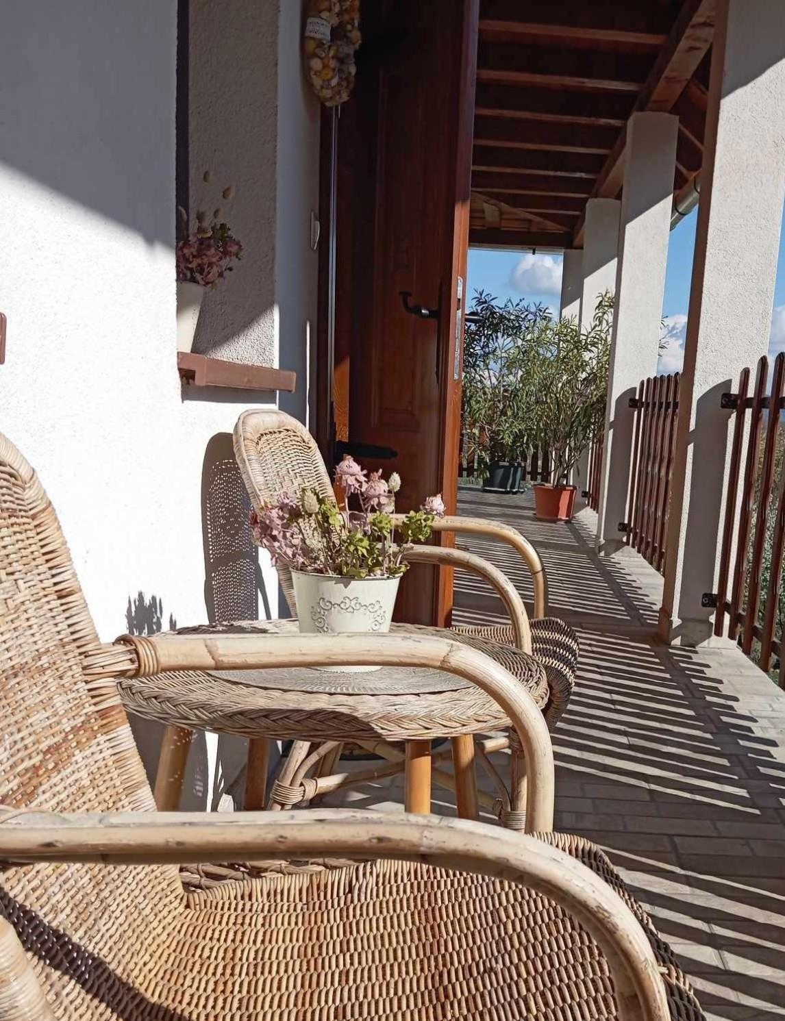 Tokaj Hill Panorama Guesthouse Szerencs Zewnętrze zdjęcie